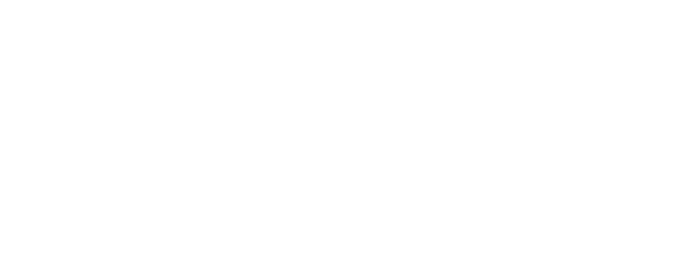 V-Guard-1.webp